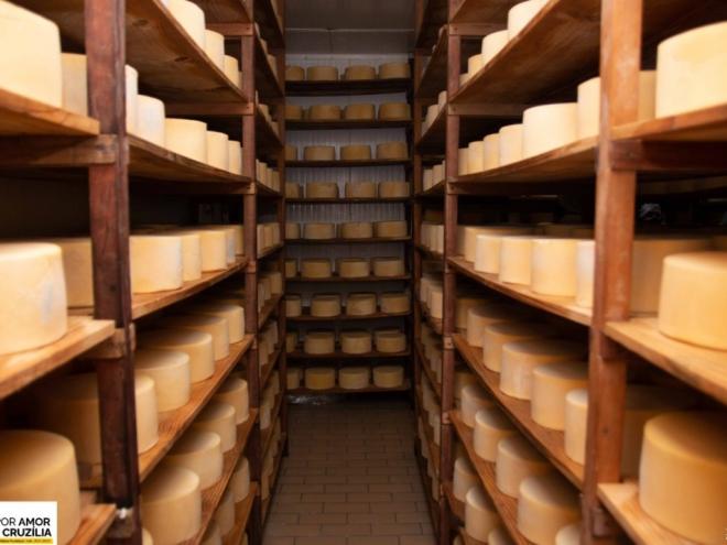 World Cheese Awards tem caráter itinerante e, em 2022, foi realizado no Reino Unido. Entre os premiados de Minas há um super ouro, um ouro, duas pratas e dois bronzes