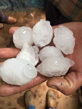 Pedras granizo deixaram rastro de destruição em várias cidades mineiras neste mês de novembro  