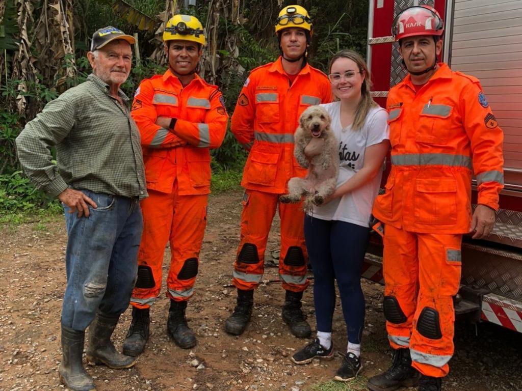 O cãozinho foi entregue para sua tutora 
