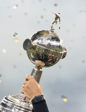 Ao todo, serão 590 figurinhas, das quais 70 são especiais