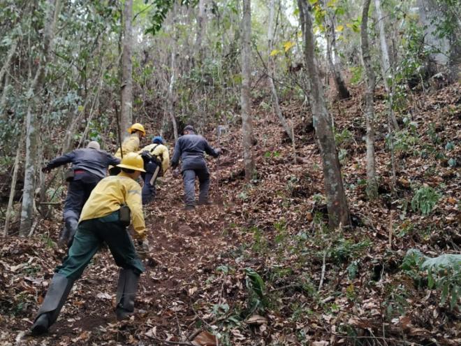 Edital prevê seis vagas para trabalho temporário de combate a focos de incêndio