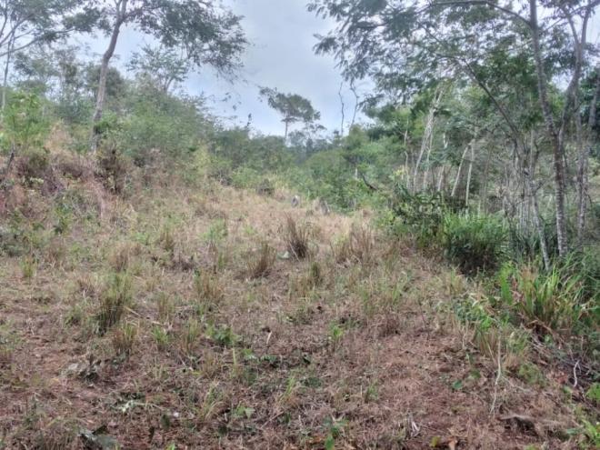 Terreno para construção do novo sistema fica ao lado do atual que é antigo e necessita de modernização