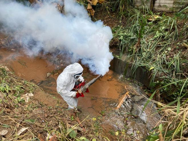 Houve uma redução nos casos de dengue, que passaram de 1.620 para 244 em março, representando uma queda de aproximadamente 85%