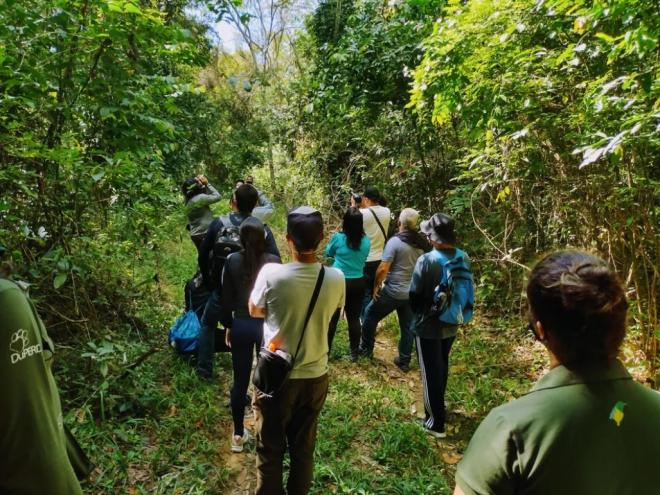 Parque Estadual do Rio Doce conta com uma grande diversidade de aves, muitas delas raras 