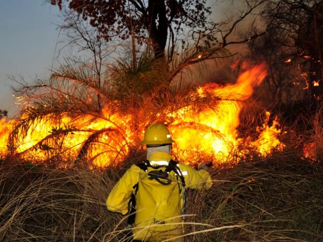Provocar incêndio em mata ou floresta é crime ambiental