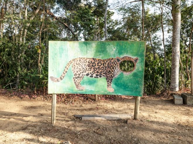 Serão R$ 6 mil divididos entre os autores das três fotos mais bem avaliadas pelo júri