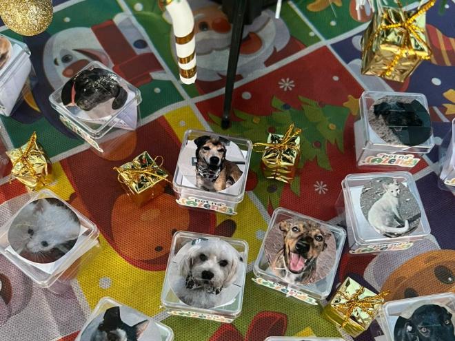 Os colaboradores podem escolher qual animal querem presentear 