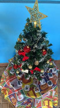 A árvore de Natal da campanha solidária está na rua Benedito Onésimo Martins, número 313, no Bom Jesus