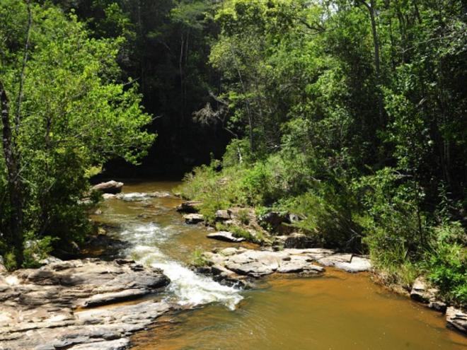 O Parque Mata do Limoeiro, a cerca de 140 km do Vale do Aço, possui diversas atrações naturais