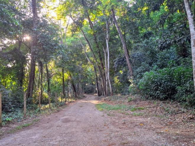 A trilha de acesso recebeu obras de contenção e segurança
