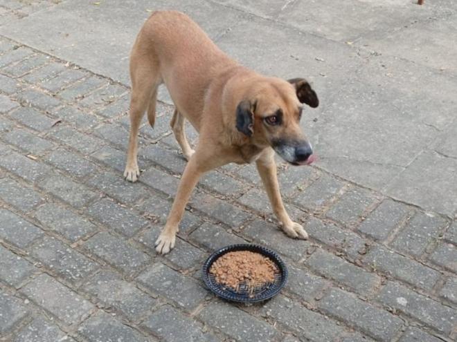 Leyse afirma que Mel é bastante querida pelos moradores do distrito 