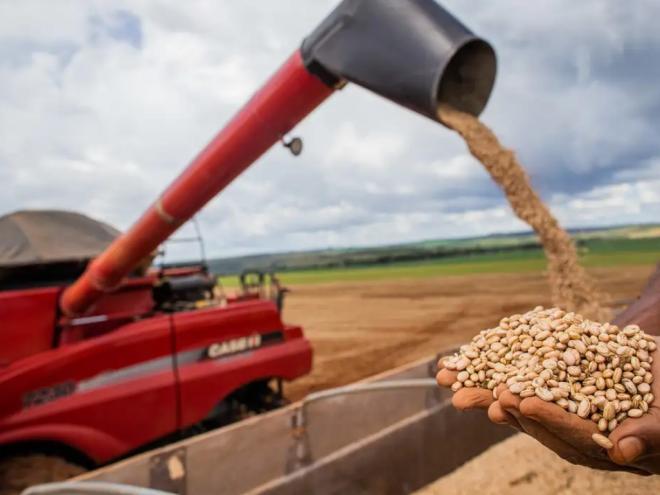Novo cálculo indica alta de 10,3% em relação à colheita anterior
