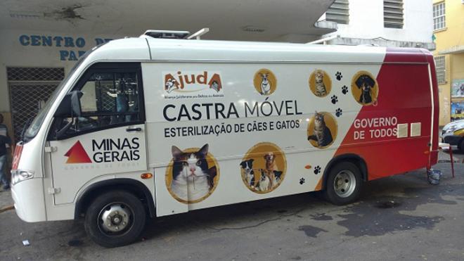 A castração de cães e gatos será feita por ordem de chegada, terá vagas limitadas e requer cadastramento prévio 