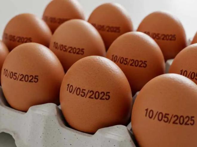 Foram abatidas 39,27 milhões de cabeças de gado, estima IBGE