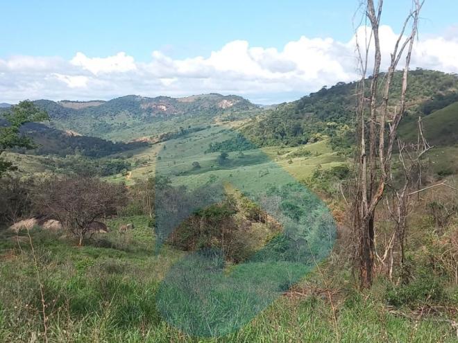 Uma área de 3,9 hectares foi afetada pela aplicação irregular