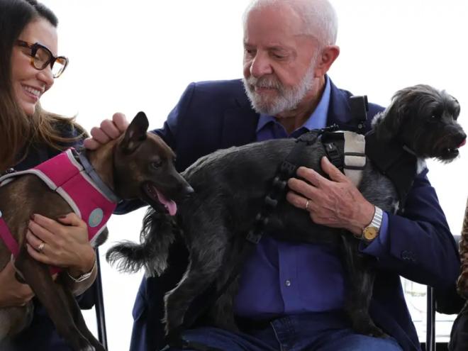 Presidente anunciou ações para promover o controle populacional ético de cães e gatos e combater os maus-tratos a animais