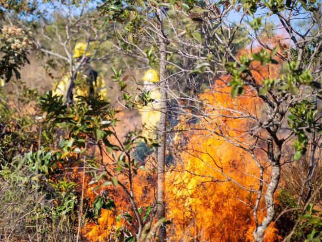 Casos de incêndio devem ser comunicados aos bombeiros e também denunciados à polícia 