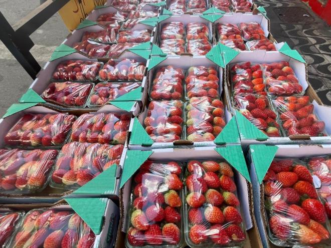 A baixa dos preços ocorreu, entre outros fatores, pela safra da fruta