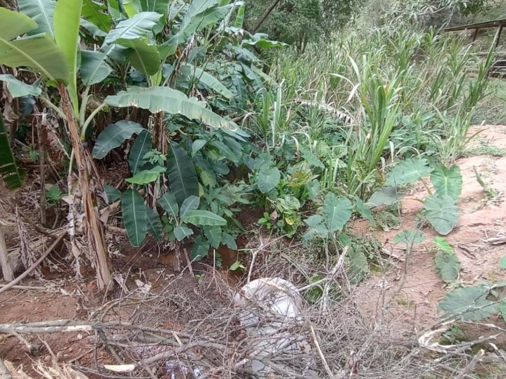 Moradores da parte mais alta do Ipaneminha sonham com acesso à fossa séptica