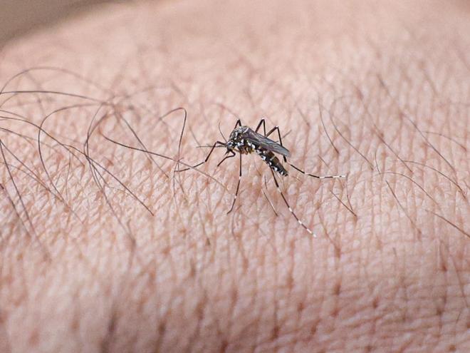 A infecção por vírus durante a gravidez está associada a maiores riscos de complicações no parto e para os recém-nascidos