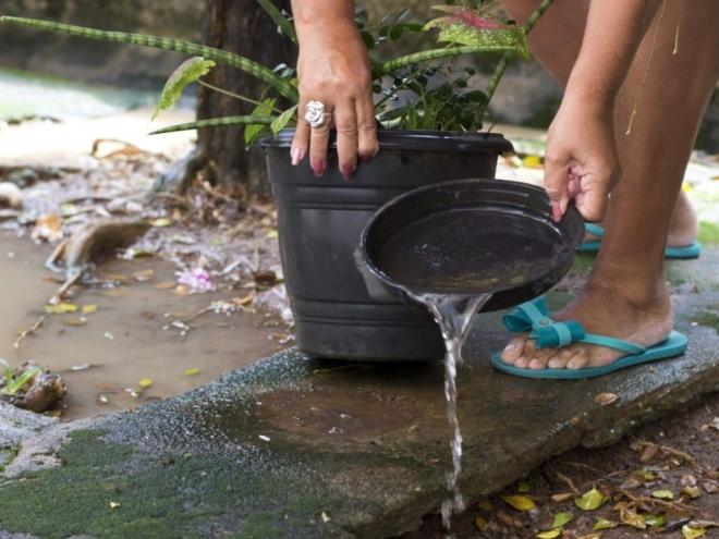 Recolhimento de materiais que acumulam água parada e atenção aos potenciais criadouros do mosquito são fundamentais para conter o avanço das arboviroses