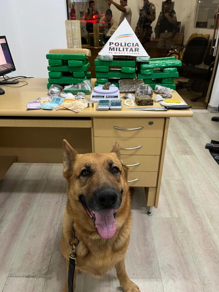 Lion atuava no trabalho de combate ao tráfico de drogas 