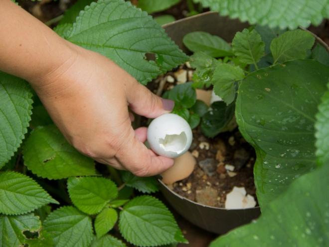 Ações ocorrem de forma simultânea em várias cidades do estado