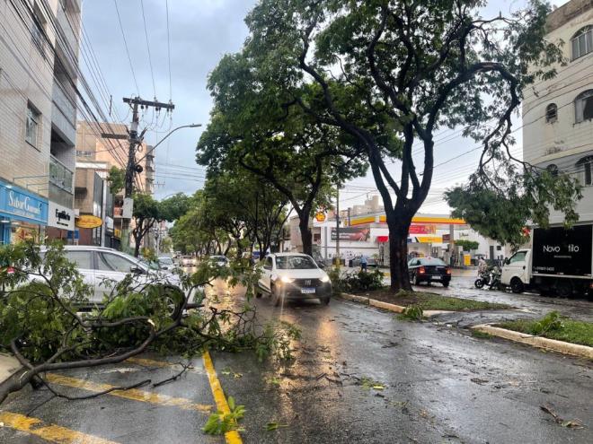 Bairro Cidade Nobre foi um dos afetados com queda de árvores