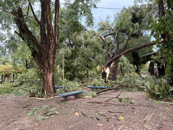 Parque Ipanema foi duramente castigado pelo vendaval