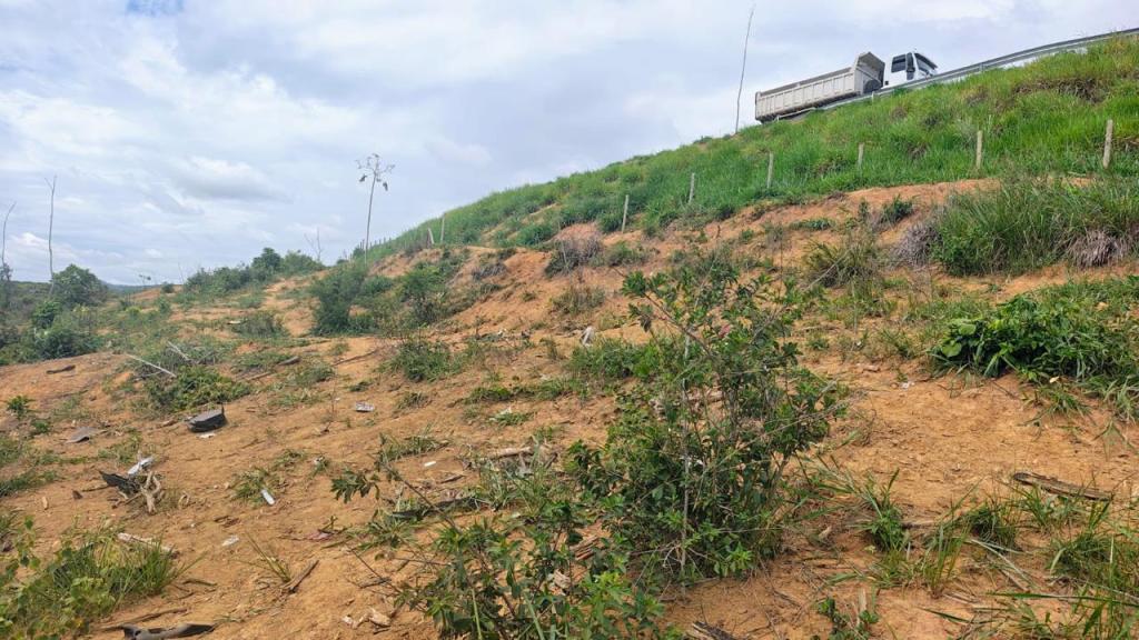 Motorista perdeu o controle de Vectra e caiu em uma ribanceira no trecho perto de Baixa Verde, em Dionísio