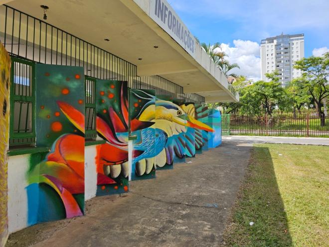 O projeto ocupa muros do espaço público com arte urbana, cores e símbolos locais