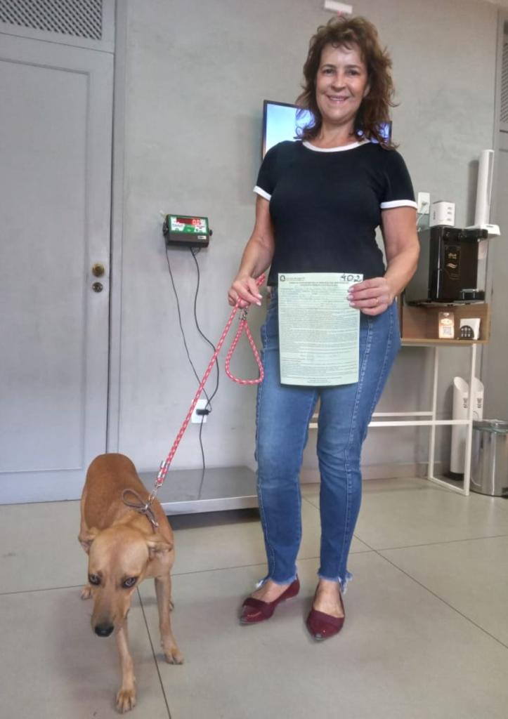 Cadela de rua foi castrada e devolvida ao local de origem