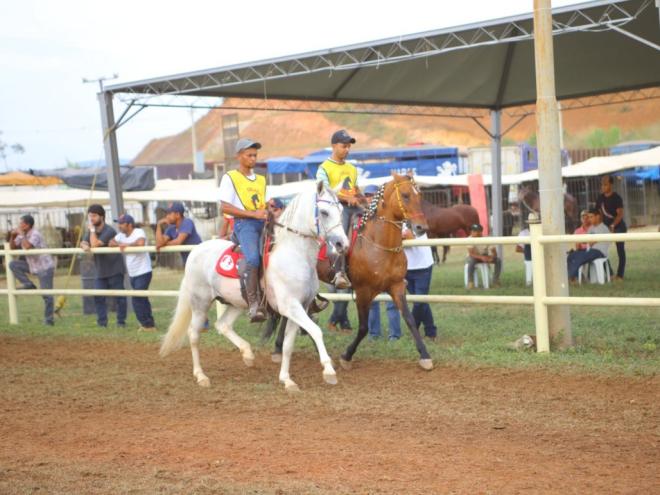 Destaque DA