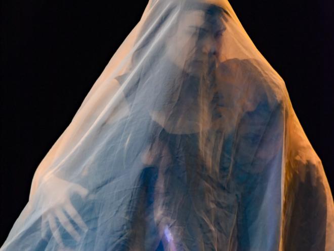 Montagem inédita reúne ciência, poesia e teatro de formas animadas, em criação coletiva dos artistas residentes do PLIFA 2026