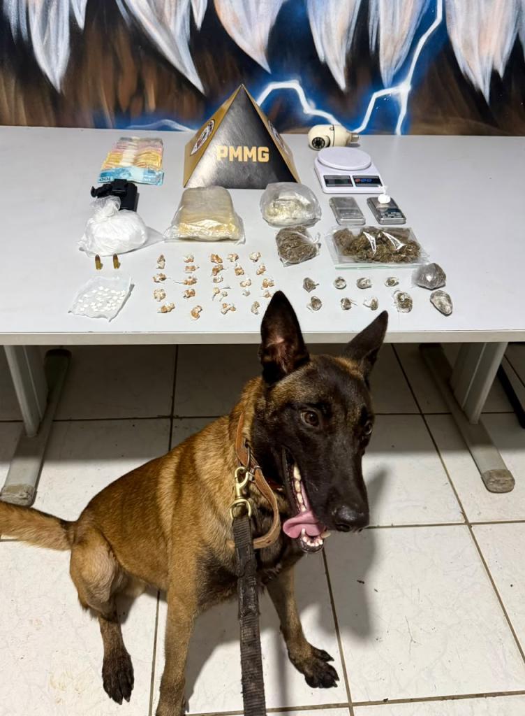 Operação do Tático Móvel, com apoio de cão farejador, localizou esconderijo de drogas, dinheiro e câmera de monitoramento no bairro Vila Formosa