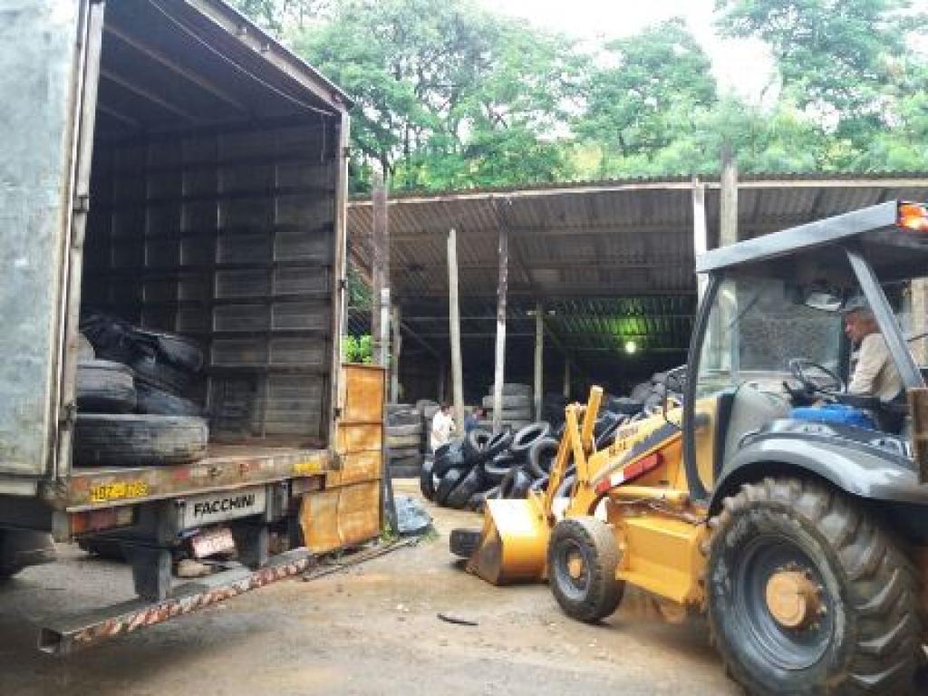 Operação da PRF recolhe 23 cavalos abandonados em rodovias do