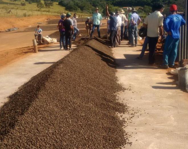Junto com a soja, o café foi um dos principais produtos da pauta agrícola mineira em 2016