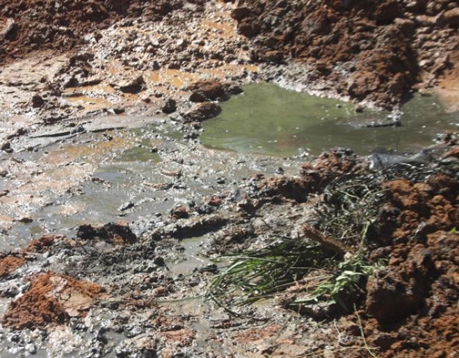Além de exalar um forte mau-cheiro, o espaço servia era de foco do mosquito Aedes aegypti