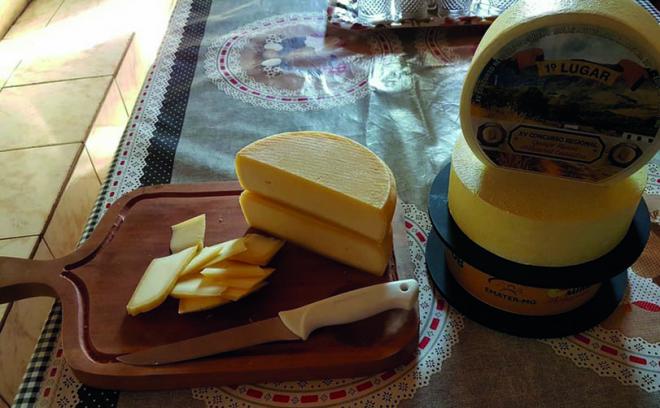 Produtores mineiros tiveram queijos premiados na França