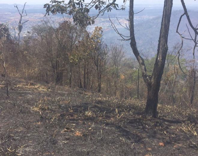 O incêndio destruiu grande parte da vegetação do bairro Forquilha