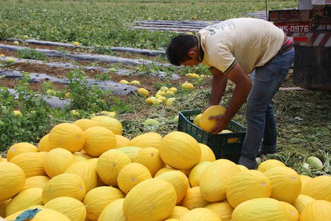 Os produtores rurais também acabam sendo beneficiados
