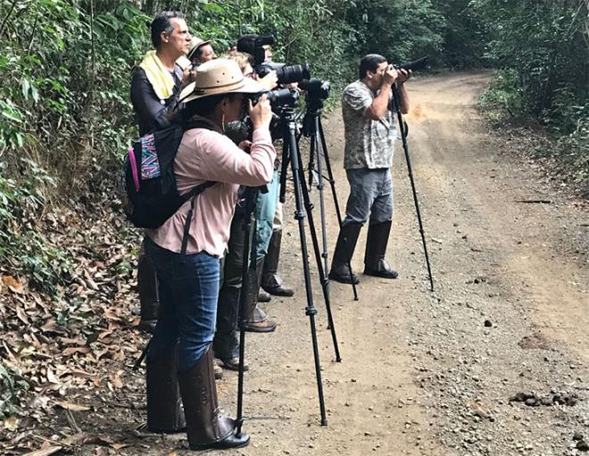O observadores percorrem as trilhas da fazenda Macedônia