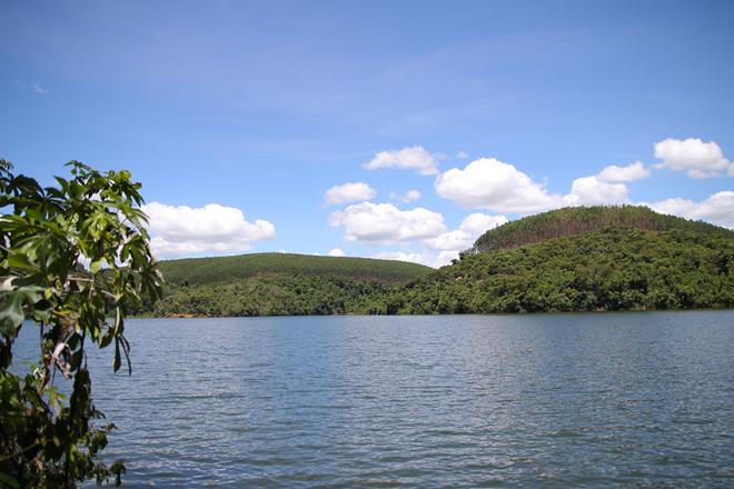 Cursos e mananciais de águas protegidos nas áreas da Cenibra