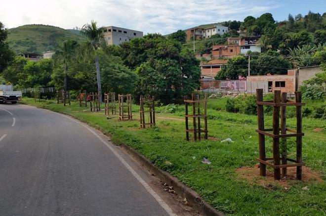 A Infrater instala gradis de madeiras para proteção das mudas que são plantadas