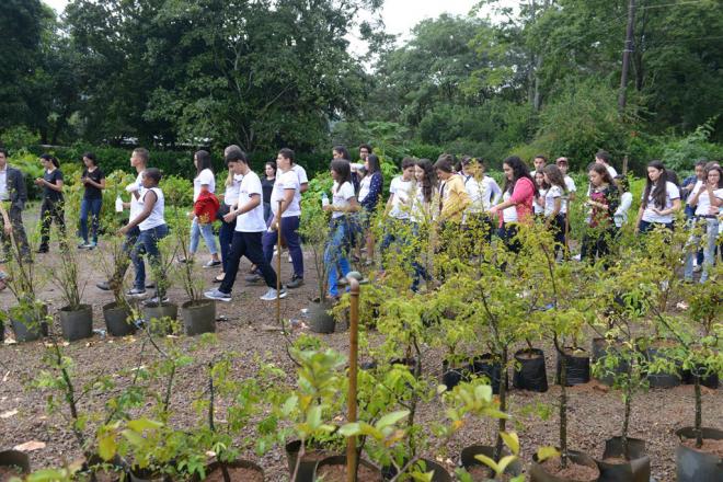 Estudantes aprendem e se divertem na Aventura no Viveiro