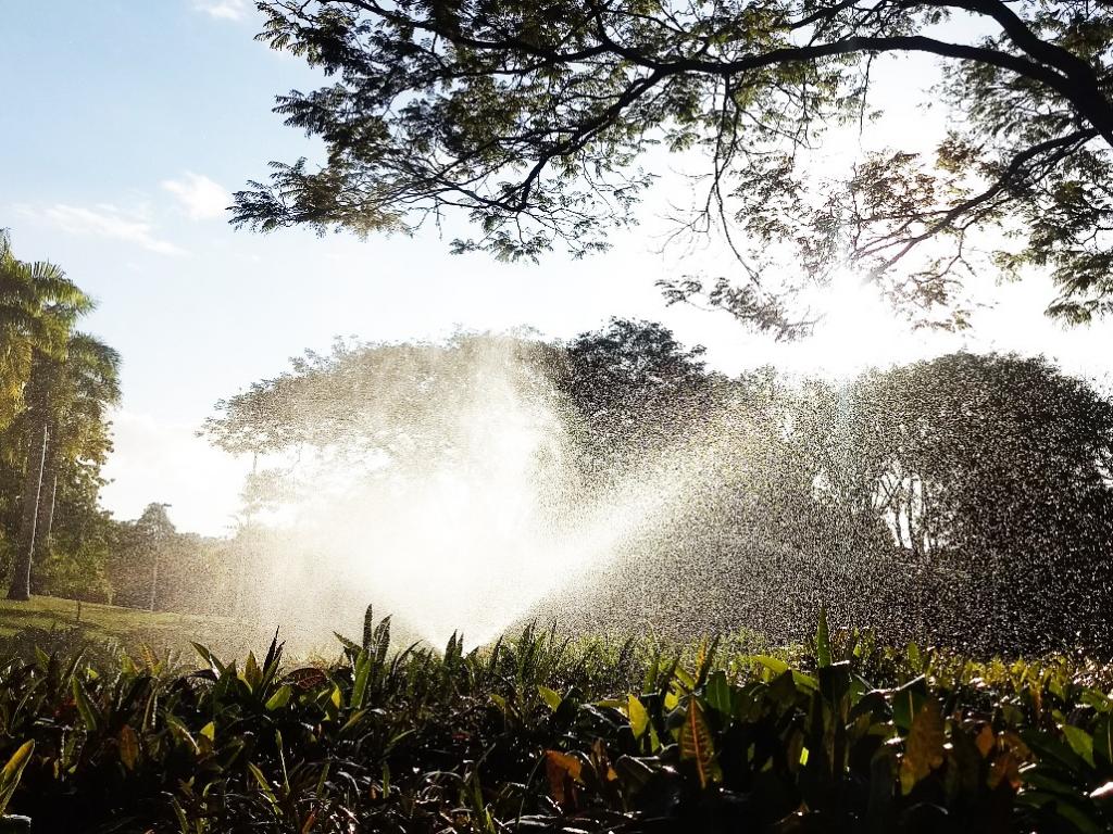 Tempo seco requer cuidados especiais com crianças e pessoas com dificuldades respiratórias; plantas também requerem irrigação para sobreviver 