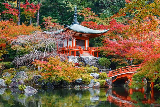 O outono no Japão é, talvez, a estação mais cheia de cores! As árvores e a natureza ganham um colorido vermelho-dourado ardente, com paisagens espetaculares emolduradas por inúmeros templos e construções milenares
