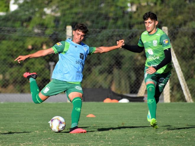 Coelho vai ter o desafio de enfrentar o líder do Brasileirão