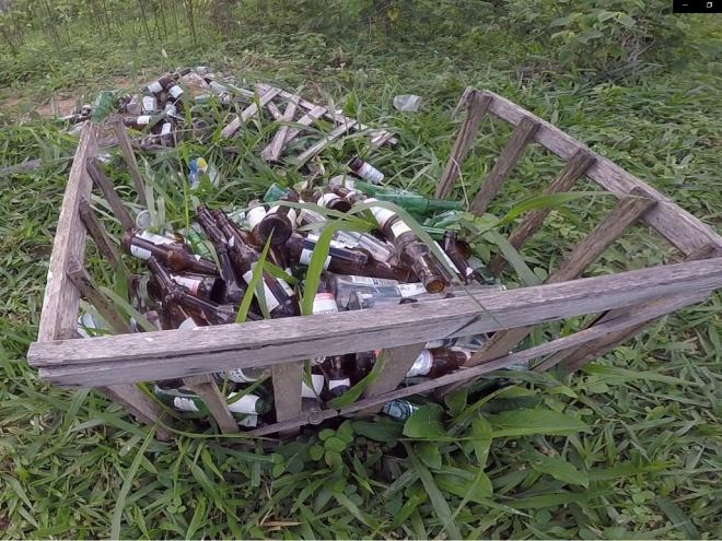 Sem coleta no local, lixo deixado pelos frequentadores da lagoa se acumulava no meio do mato 