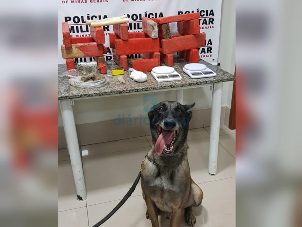 O cão Zairon localizou todo este material enterrado na casa dos irmãos denunciados